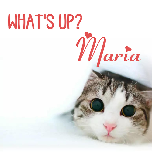 Открытка Maria What