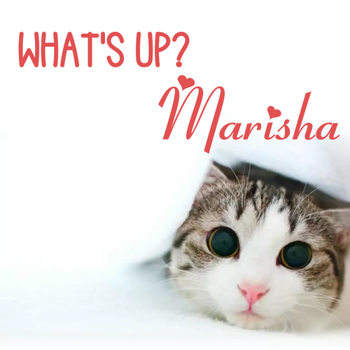 Открытка Marisha What