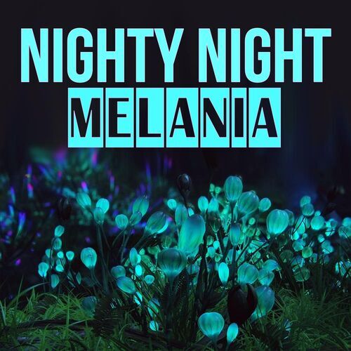 Открытка Melania Nighty Night