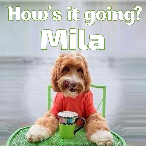 Открытка Mila How