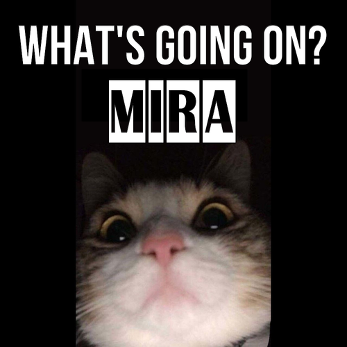 Открытка Mira What