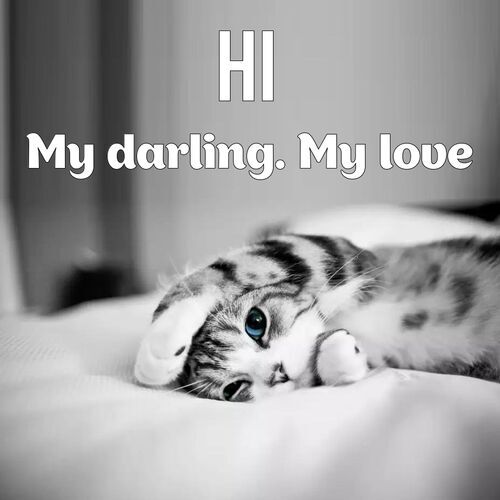 Открытка My darling. My love Hi