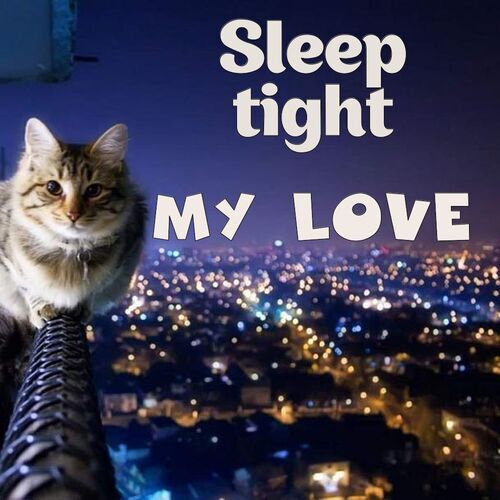 Открытка My love Sleep tight