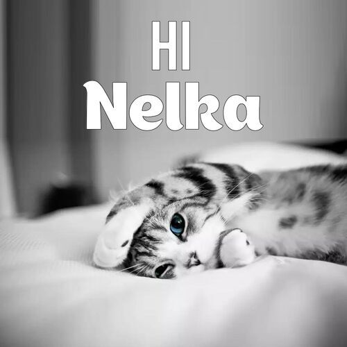 Открытка Nelka Hi