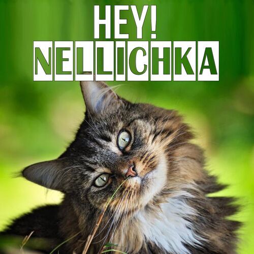 Открытка Nellichka Hey!