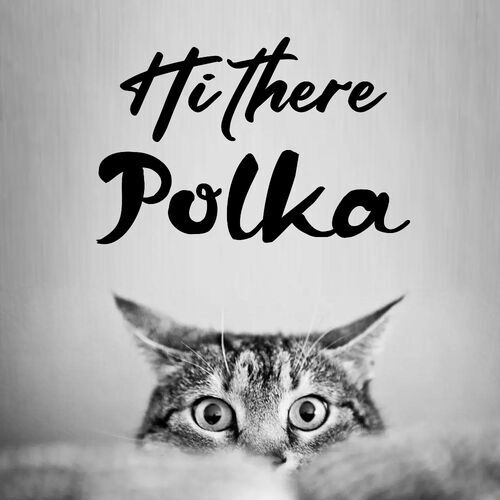 Открытка Polka Hi there