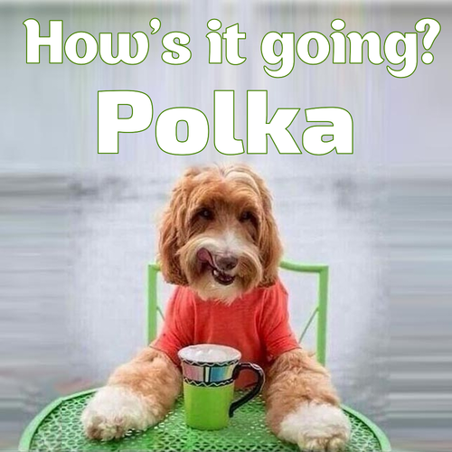 Открытка Polka How