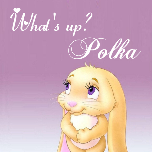 Открытка Polka What