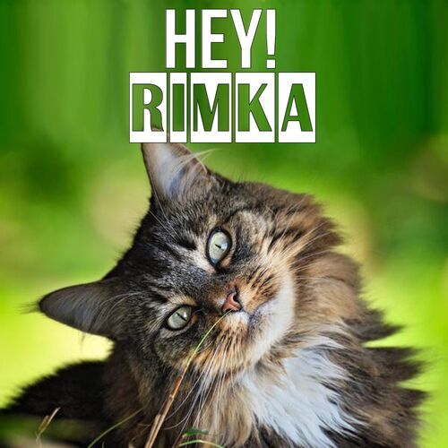 Открытка Rimka Hey!