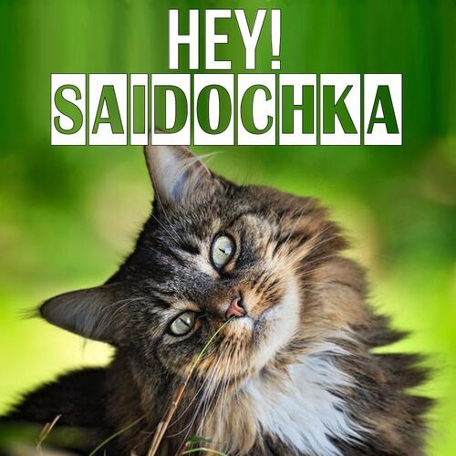 Открытка Saidochka Hey!