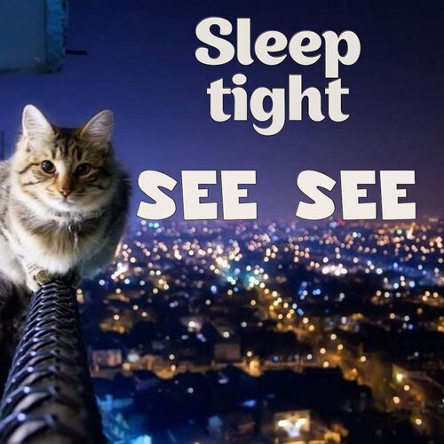 Открытка See see Sleep tight