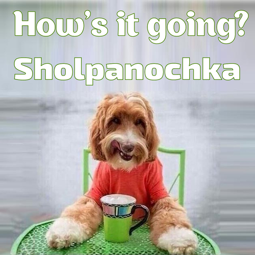 Открытка Sholpanochka How