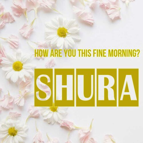 Открытка Shura How are you this fine morning?