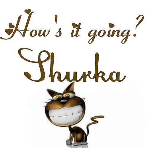 Открытка Shurka How