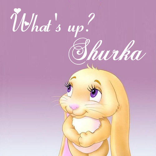 Открытка Shurka What