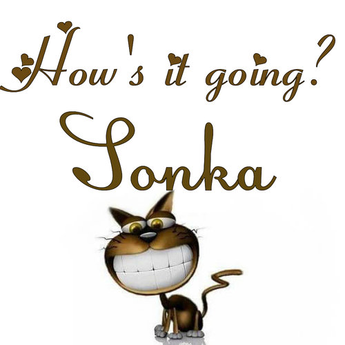 Открытка Sonka How