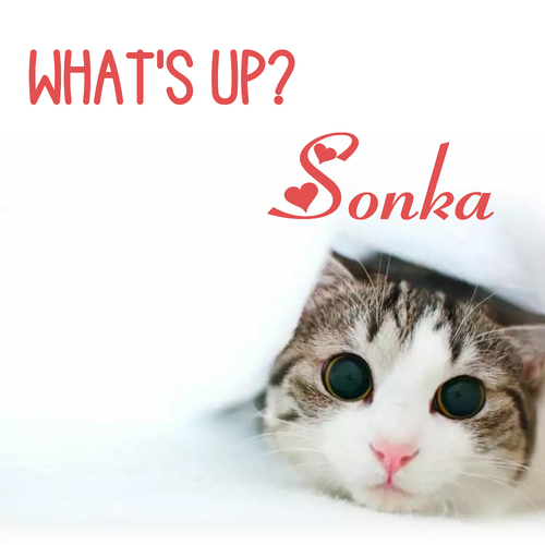 Открытка Sonka What