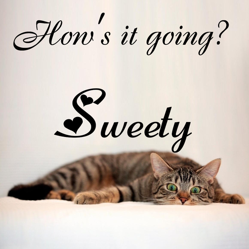 Открытка Sweety How