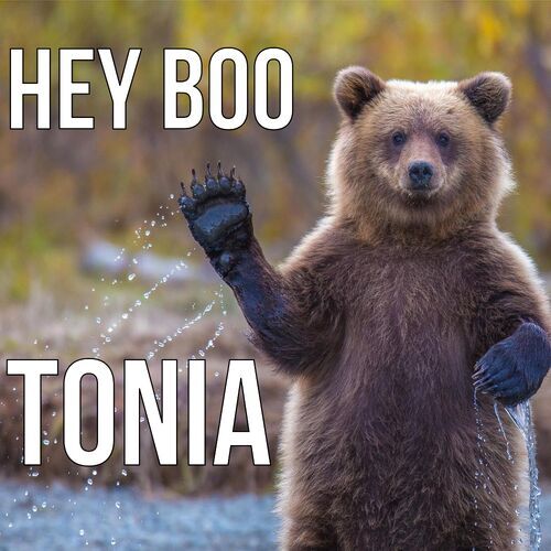 Открытка Tonia Hey boo