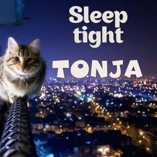 Открытка Tonja Sleep tight