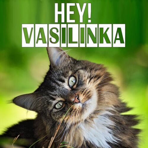 Открытка Vasilinka Hey!