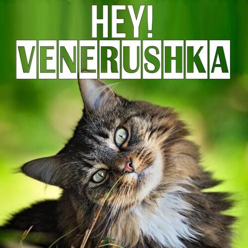 Открытка Venerushka Hey!