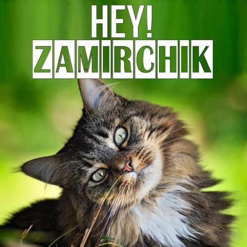 Открытка Zamirchik Hey!