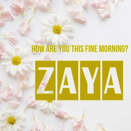 Открытка Zaya How are you this fine morning?