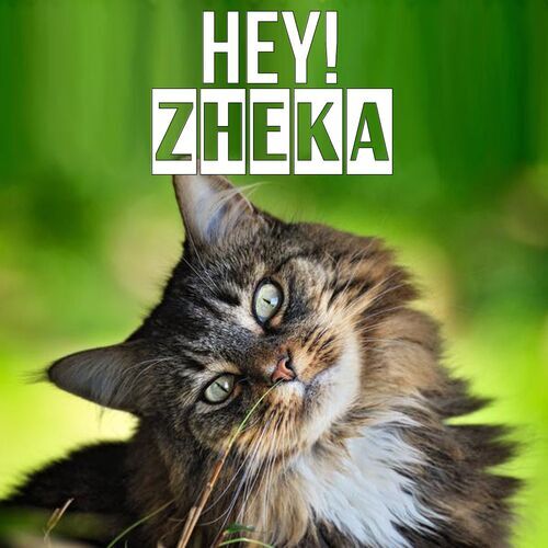 Открытка Zheka Hey!