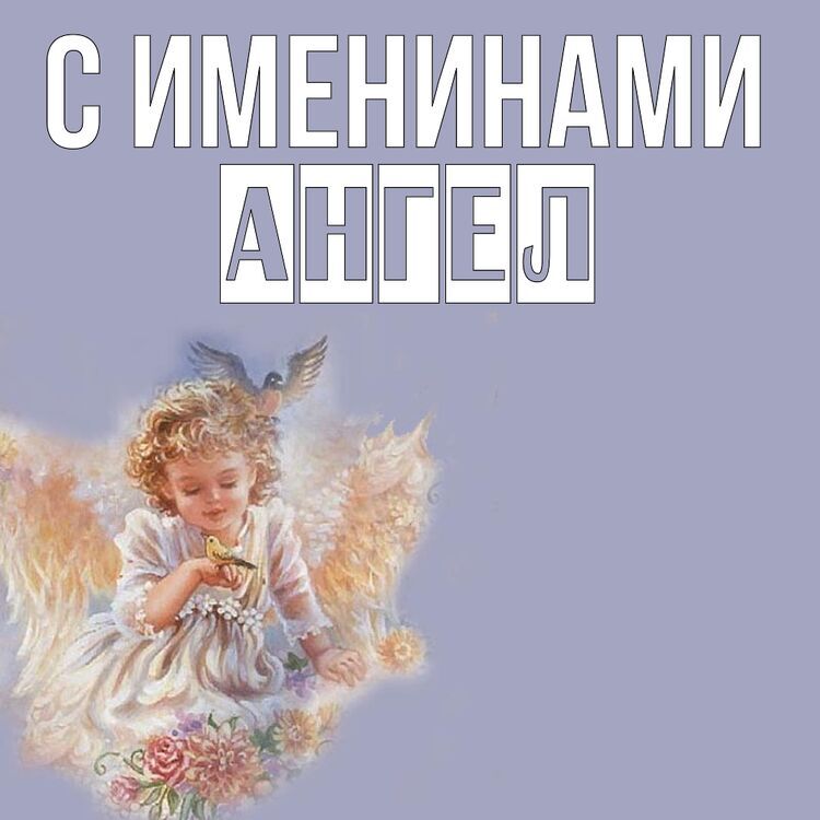 Ангел • Блокнот + открытка
